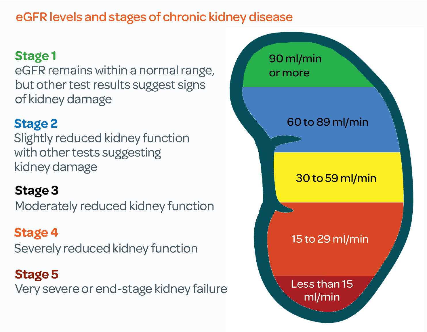 Understanding your CKD blood and urine test results | Kidney Care UK