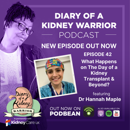 What happens on the day of a kidney transplant and beyond?