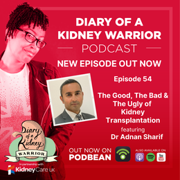 The good, the bad and the ugly of kidney transplantation