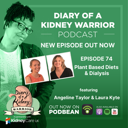 Plant-based diets and dialysis