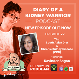 The South Asian diet and chronic kidney disease (CKD)