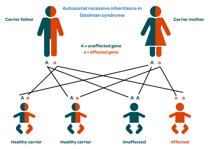 Gitelman syndrome - inheritance diagram