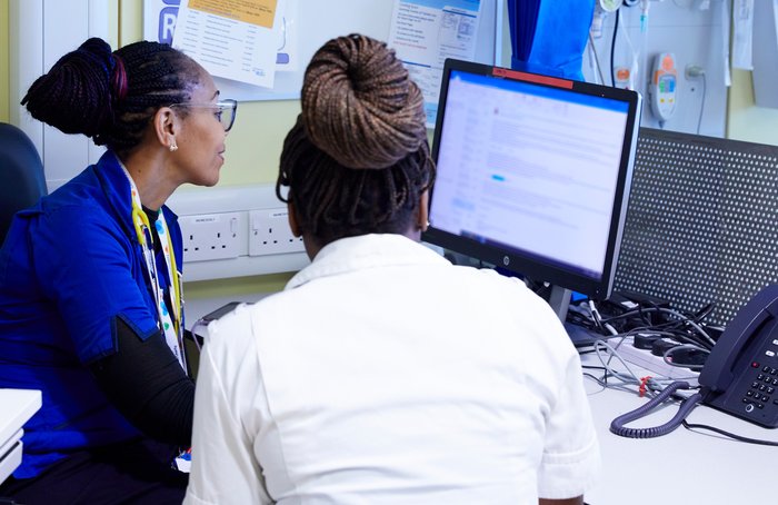 Health professionals at the computer