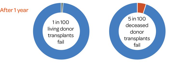 Kidney transplant failure after one year