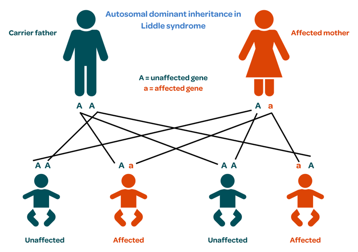 Liddle syndrome - inheritance diagram