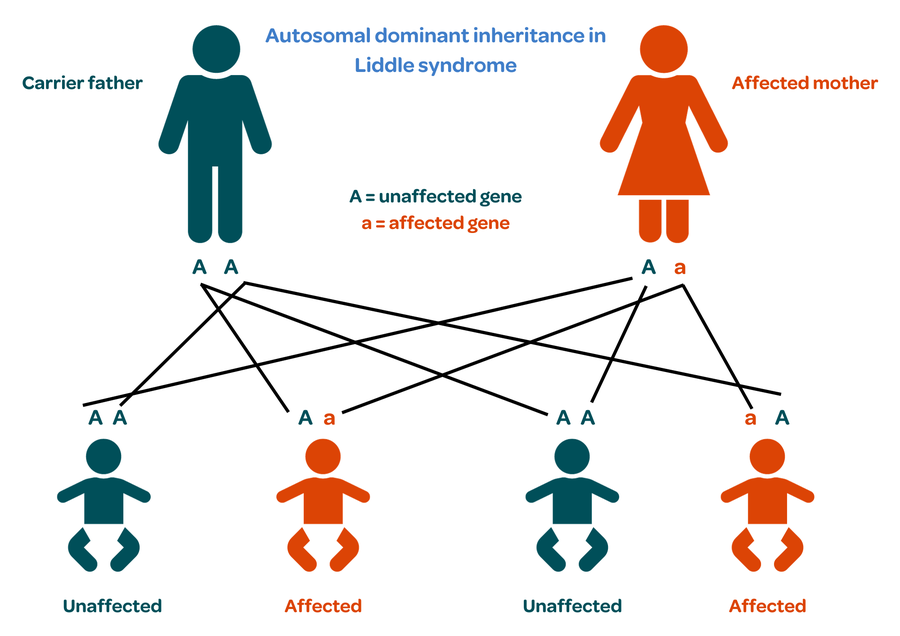 Liddle syndrome | Kidney Care UK