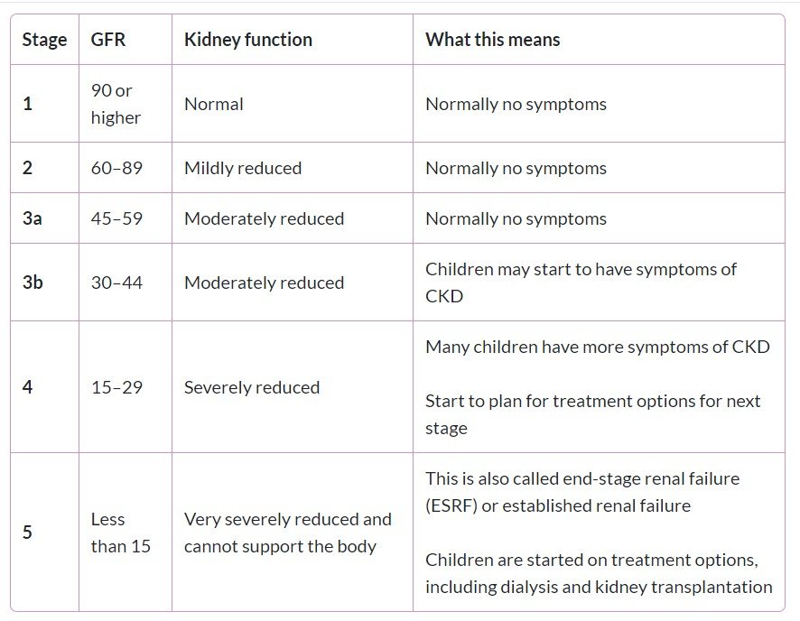 Chronic kidney disease (CKD) stages 3b-5 | infoKID