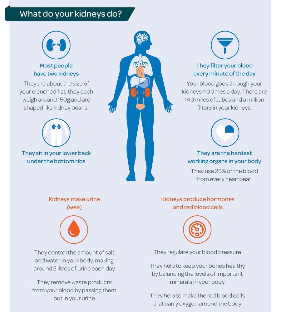 Chronic kidney disease (CKD) | Kidney Care UK