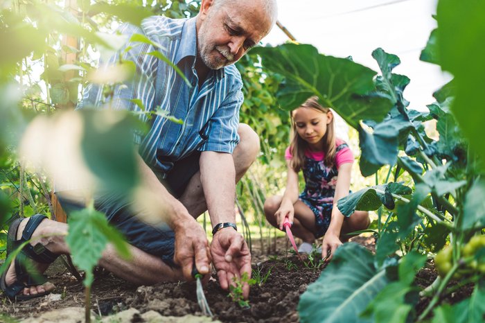 Kidney failure gardening