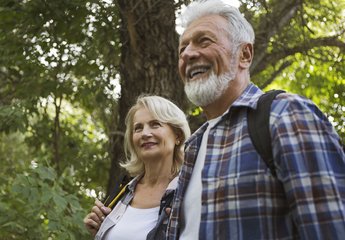 Senior couple working in woodland